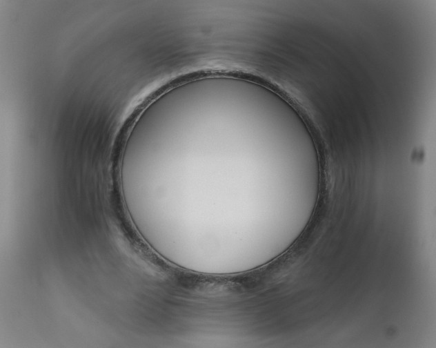 X0000110870488200906181014