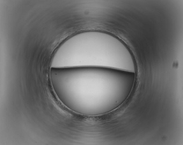 X0000110870489200906181014