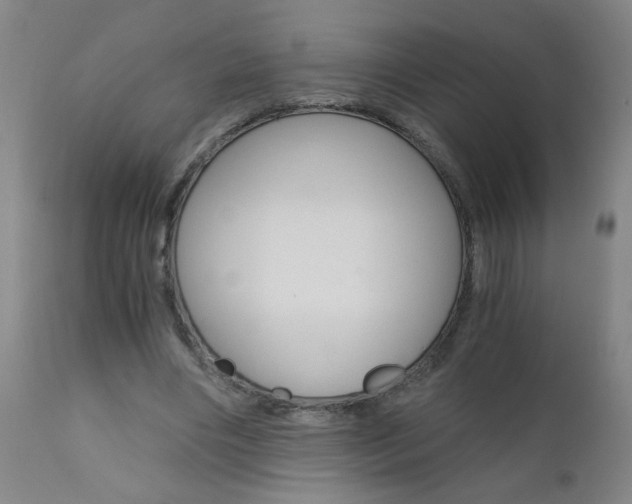 X0000110870490200906181014