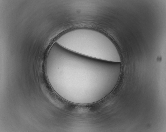 X0000110870491200906181014