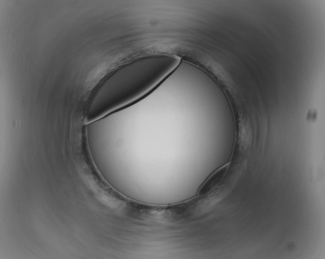 X0000110870493200906181014