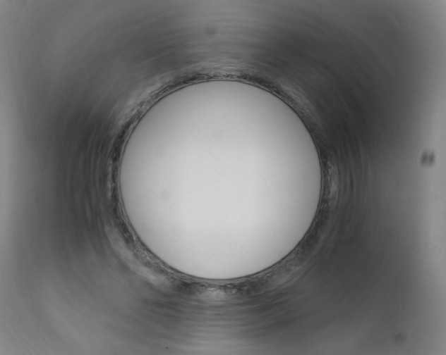 X0000110870494200906181014