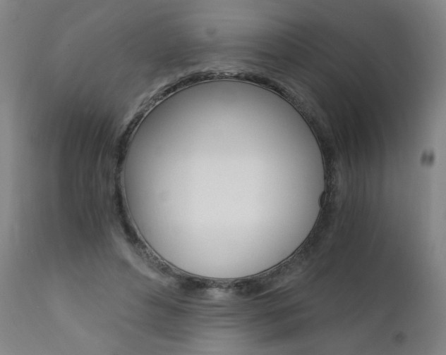 X0000110870496200906181013