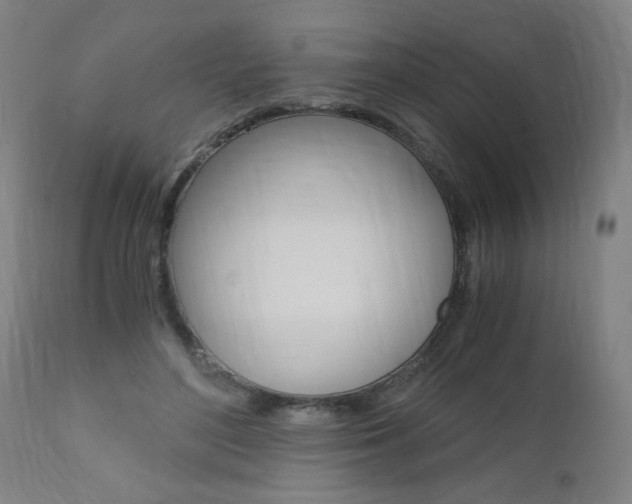 X0000110870500200906181013