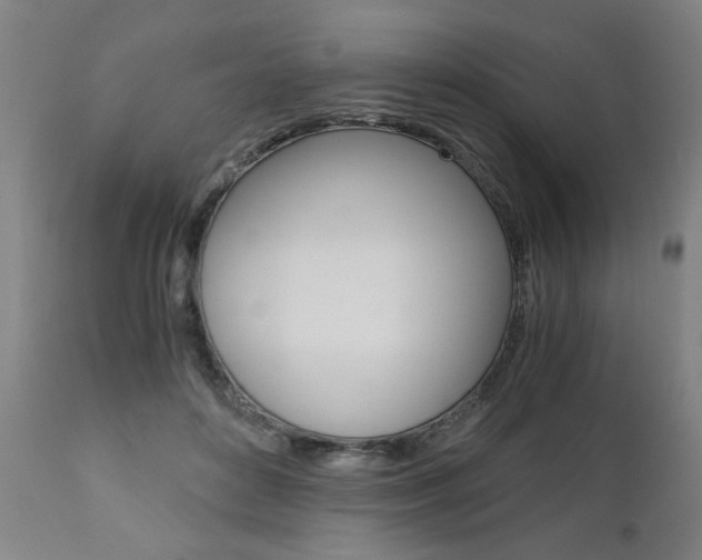 X0000110870504200906181013