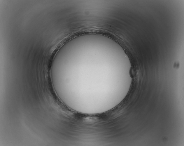 X0000110870508200906181013