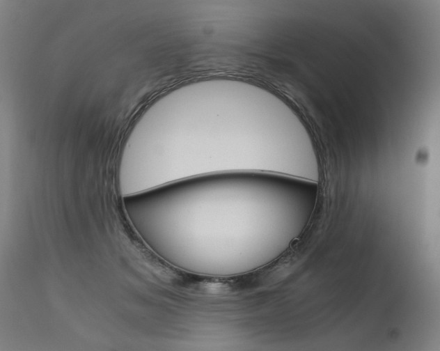 X0000110870509200906181013