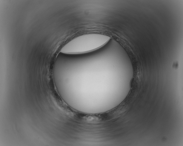 X0000110870512200906181013