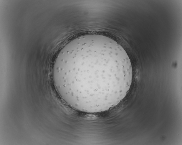 X0000110870519200906181013