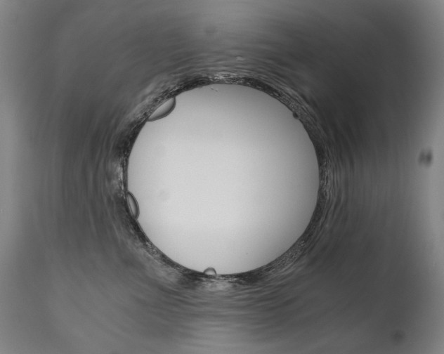 X0000110870523200906181013
