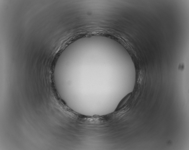 X0000110870524200906181013