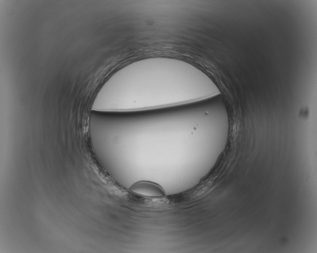 X0000110870525200906181013