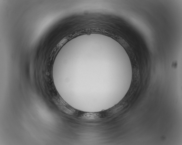 X0000110870526200906181013