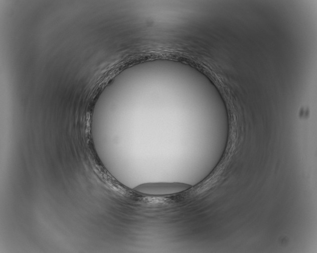 X0000110870528200906181013