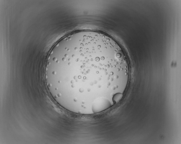 X0000110870529200906181012