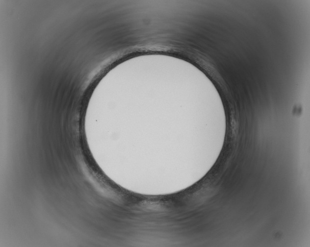 X0000110870534200906181012