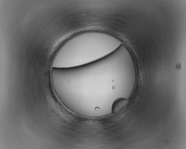 X0000110870535200906181012