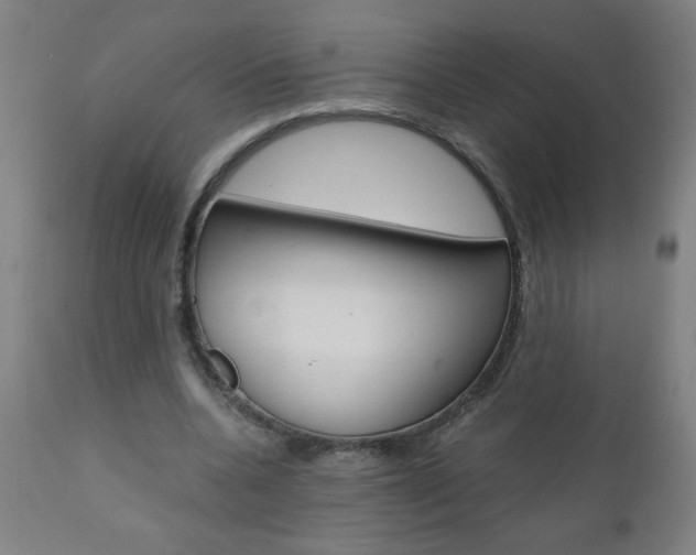 X0000110870536200906181012