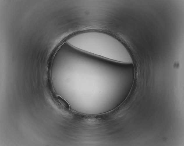 X0000110870540200906181012