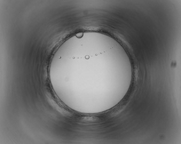 X0000110870541200906181012
