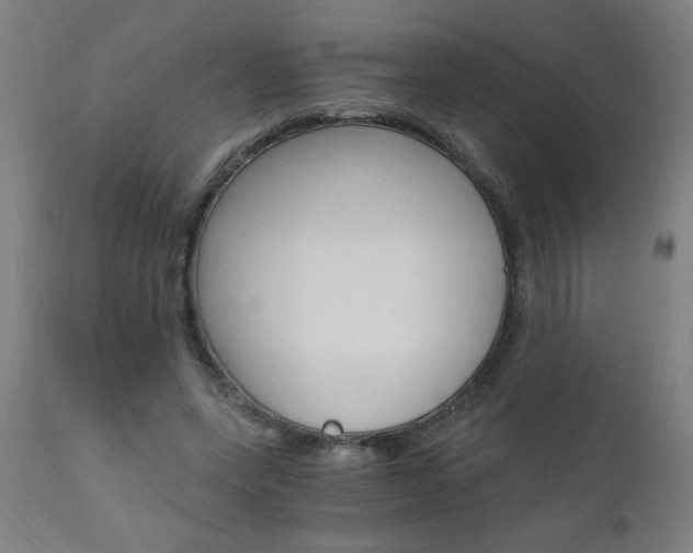 X0000110870543200906181012