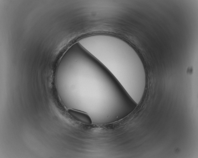 X0000110870544200906181012