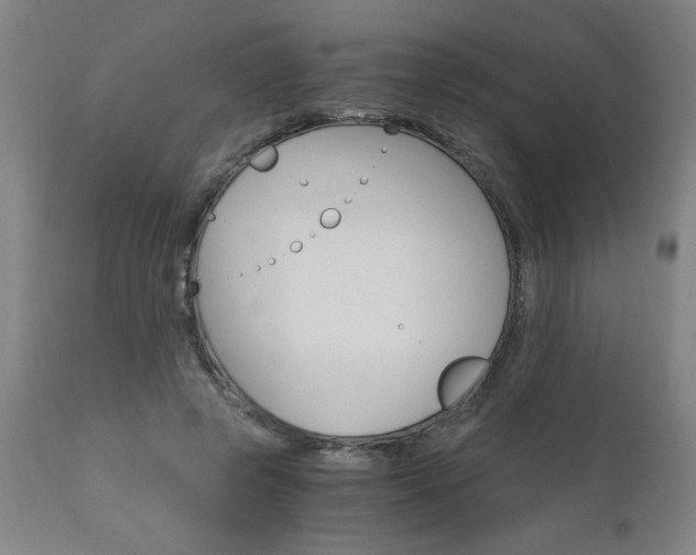 X0000110870545200906181012