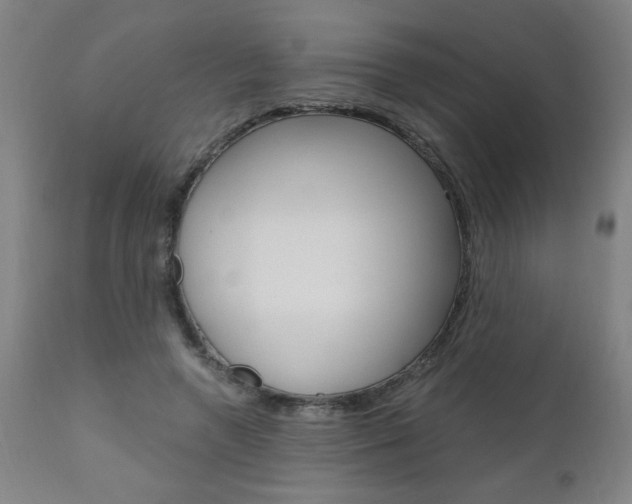 X0000110870546200906181012