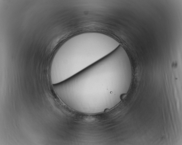 X0000110870547200906181012