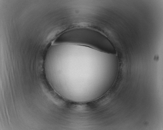 X0000110870548200906181012