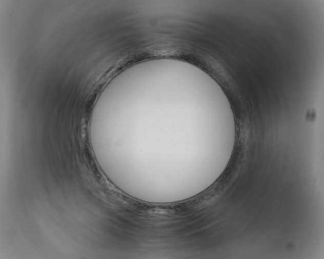 X0000110870549200906181012