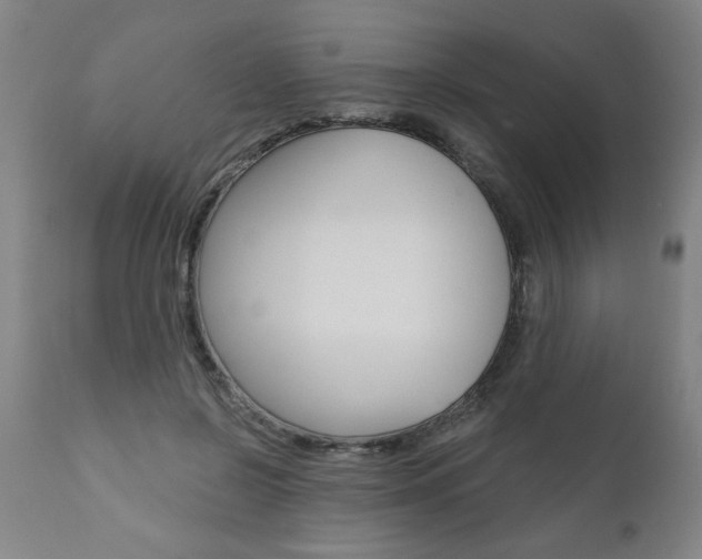 X0000110870550200906181012
