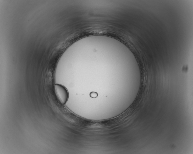 X0000110870551200906181012
