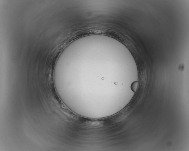 X0000110870553200906181012