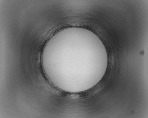 X0000110870554200906181012
