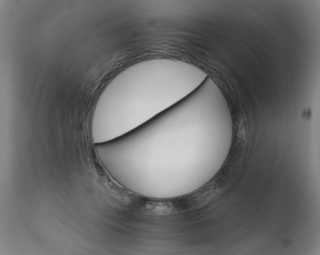X0000110870559200906181013