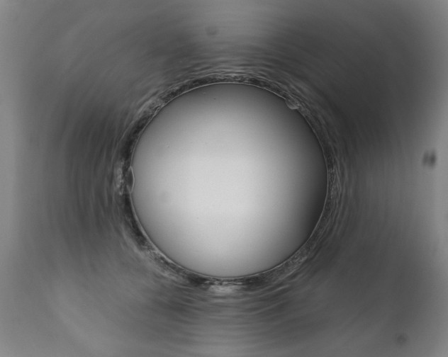 X0000110870560200906181013