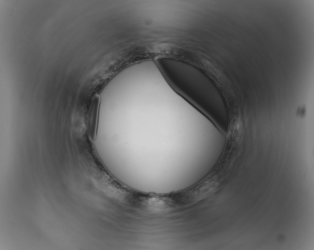X0000110870566200906181013
