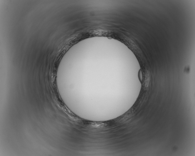 X0000110870569200906181013