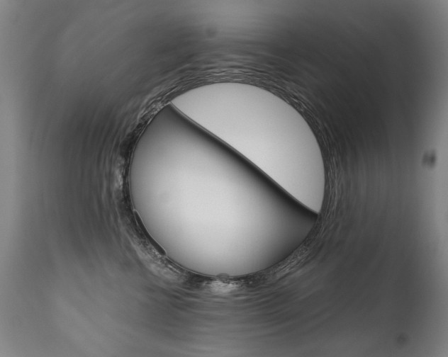 X0000110870570200906181013