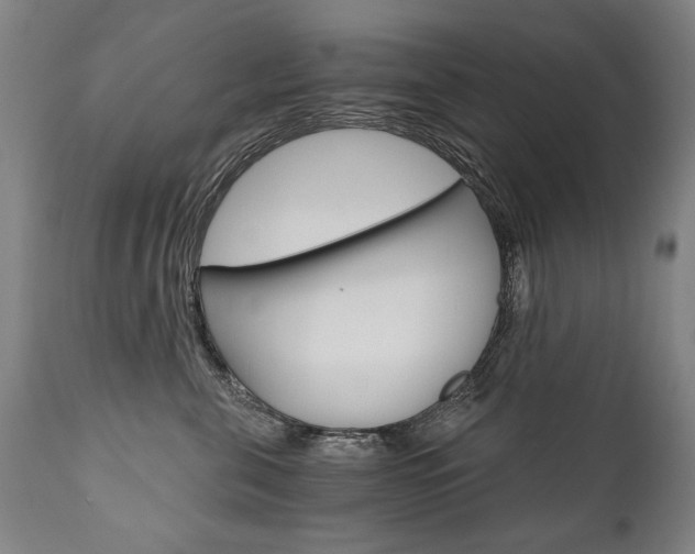 X0000110870571200906181013