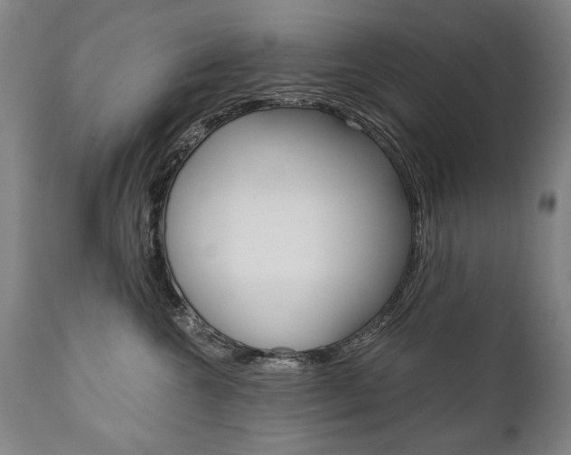 X0000110870572200906181013