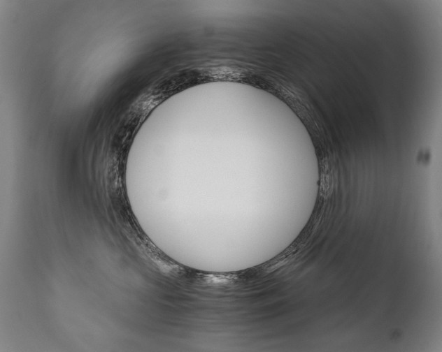 X0000110870573200906181013