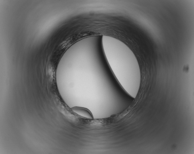 X0000110870574200906181013