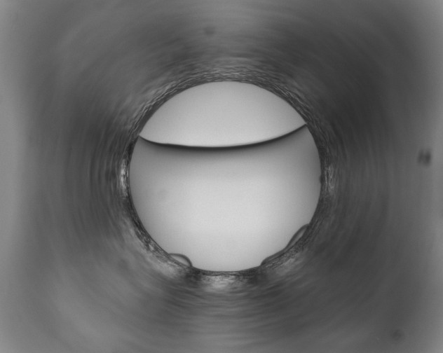 X0000110870575200906181013