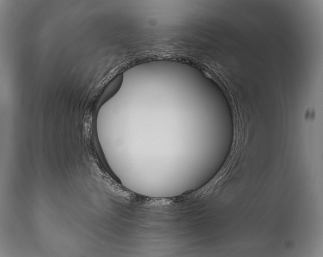 X0000110870576200906181013
