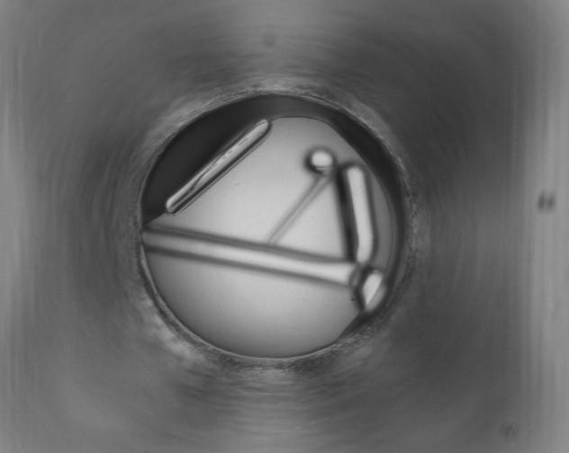 X0000110870577200906181012