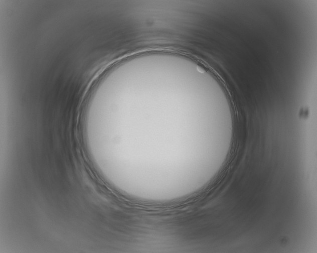 X0000110870579200906181012