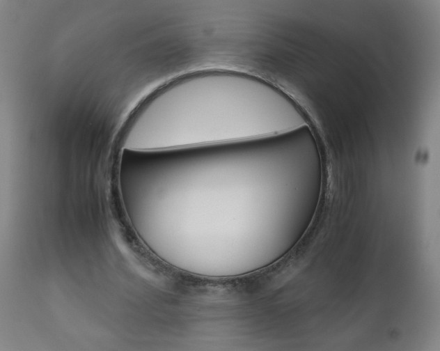 X0000110870580200906181012