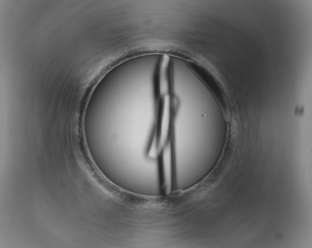 X0000110870581200906181012